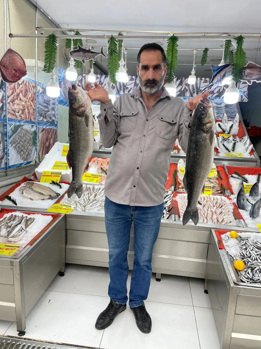 Köroğludalyan - Görsel 8