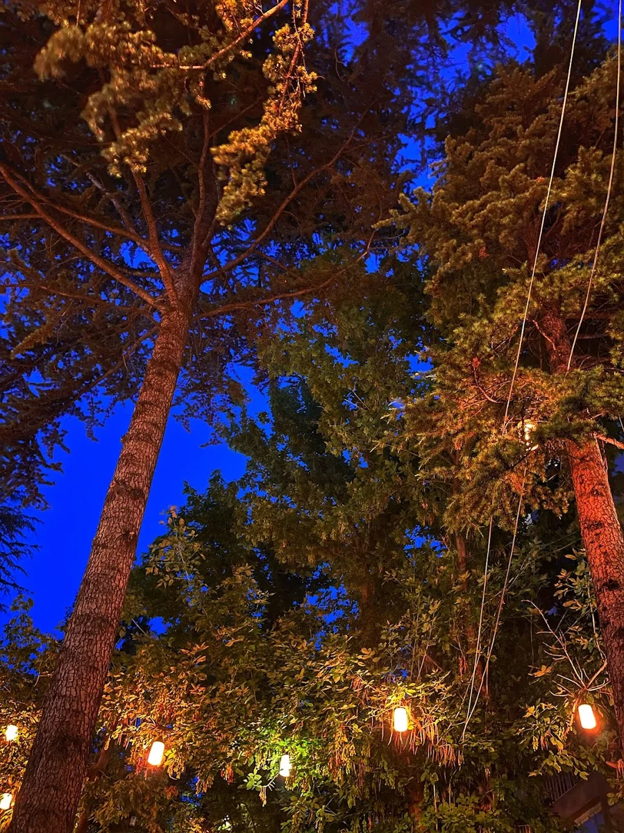 Meymenet Meyhane - Görsel 5