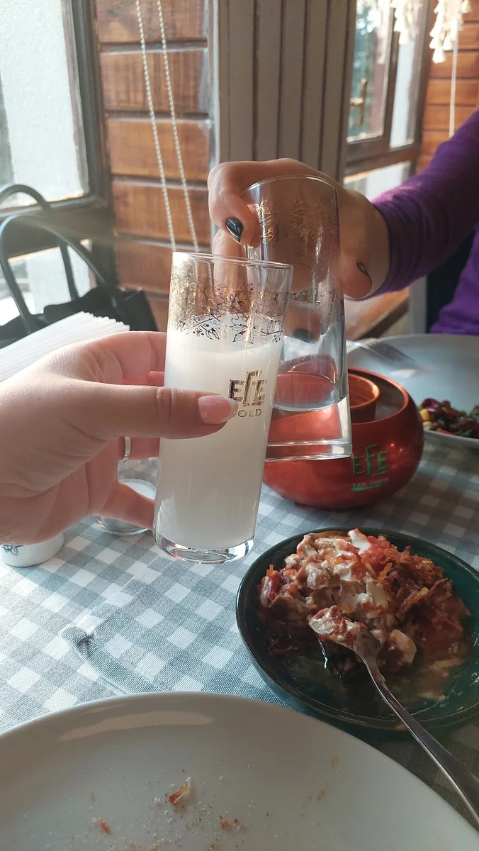 MEYHANE AŞİNA - Görsel 1