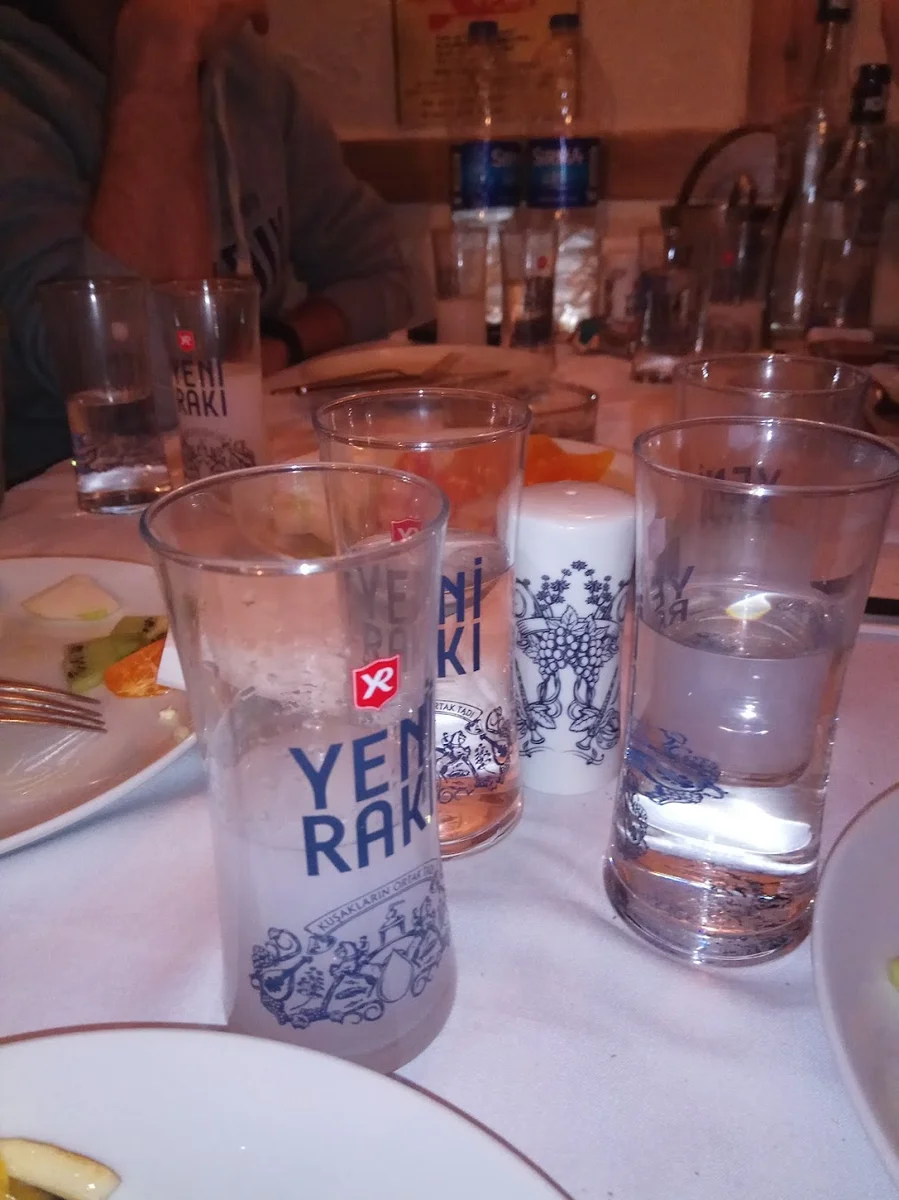 MEYHANE AŞİNA - Görsel 2