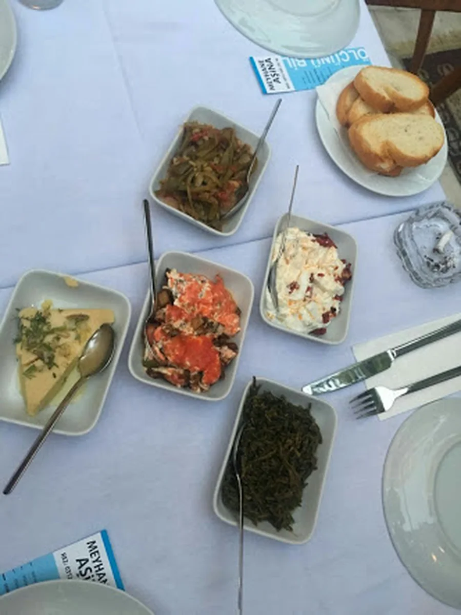 MEYHANE AŞİNA - Görsel 5