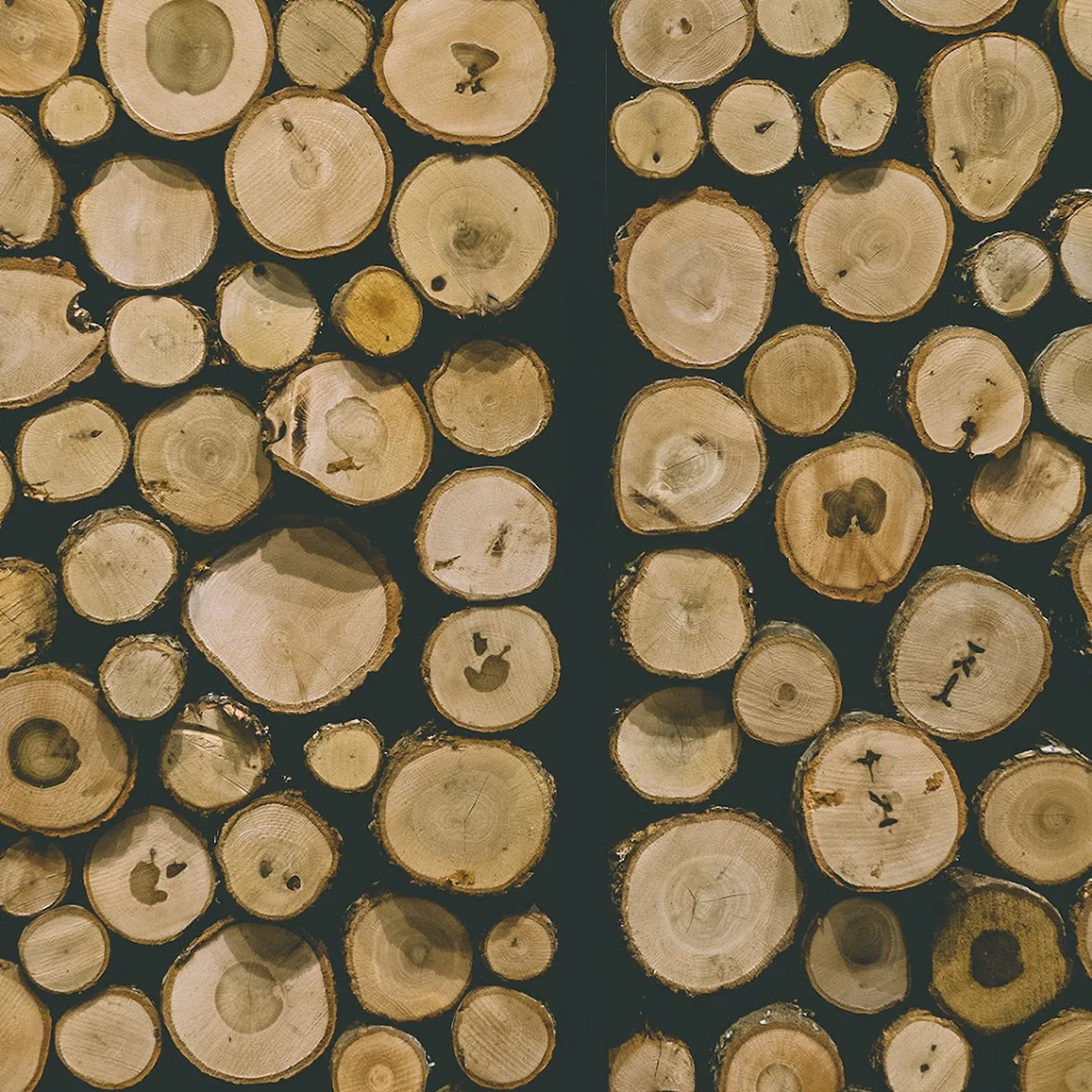 Pizzeria Alla Torre - Görsel 4