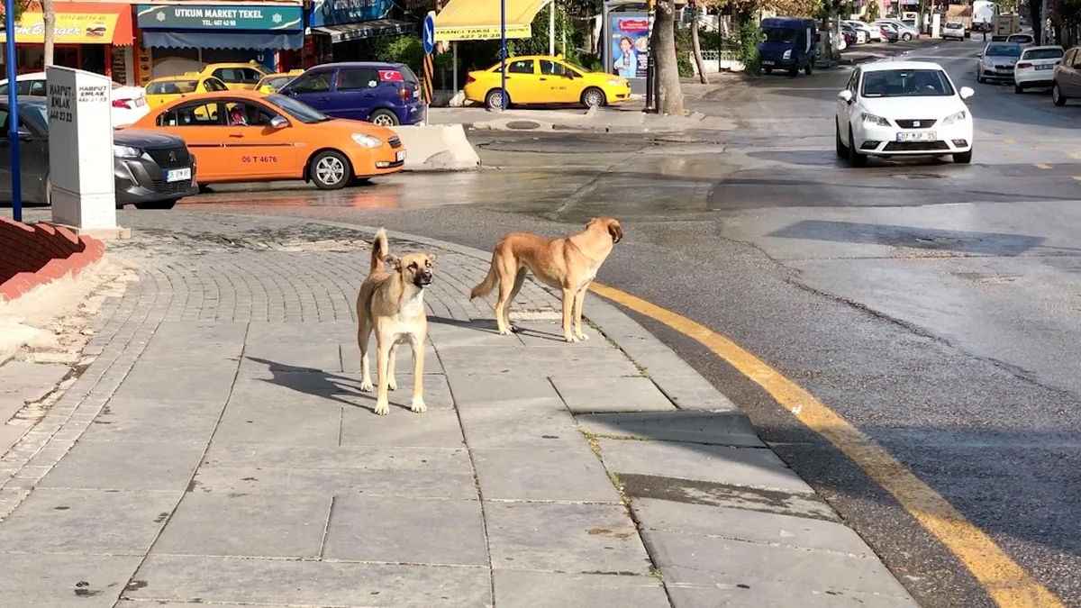 99 Sümela Et Lokantası - Görsel 5