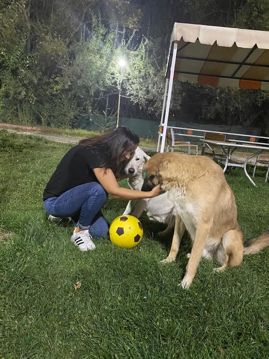 Veli Paşa Konağı Kırbahçesi düğün salonu,restorant ve mangal evi - Görsel 2