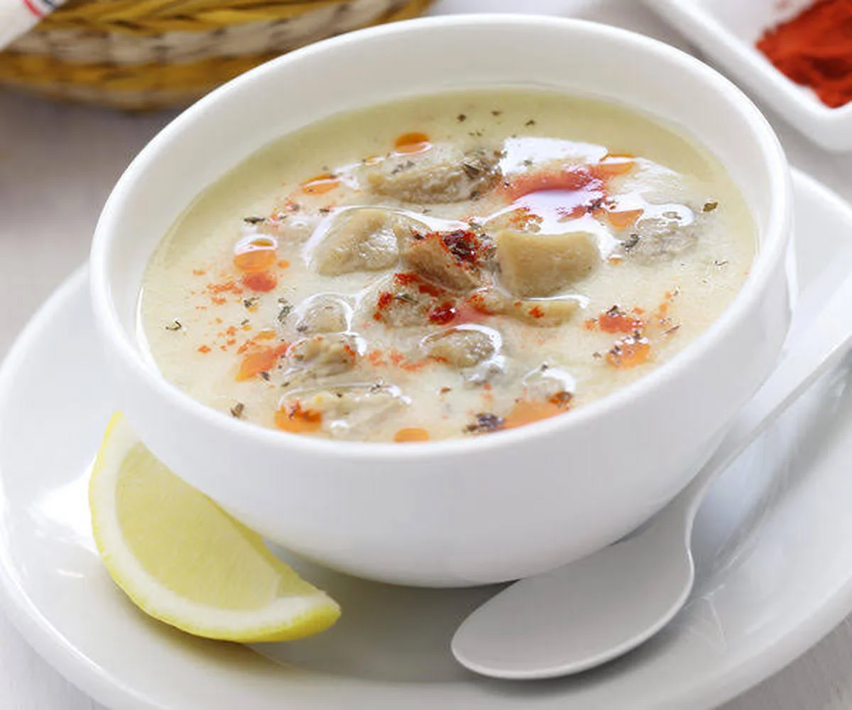 Ankara Kokoreç Köfte Çamlık Piknik - Görsel 6