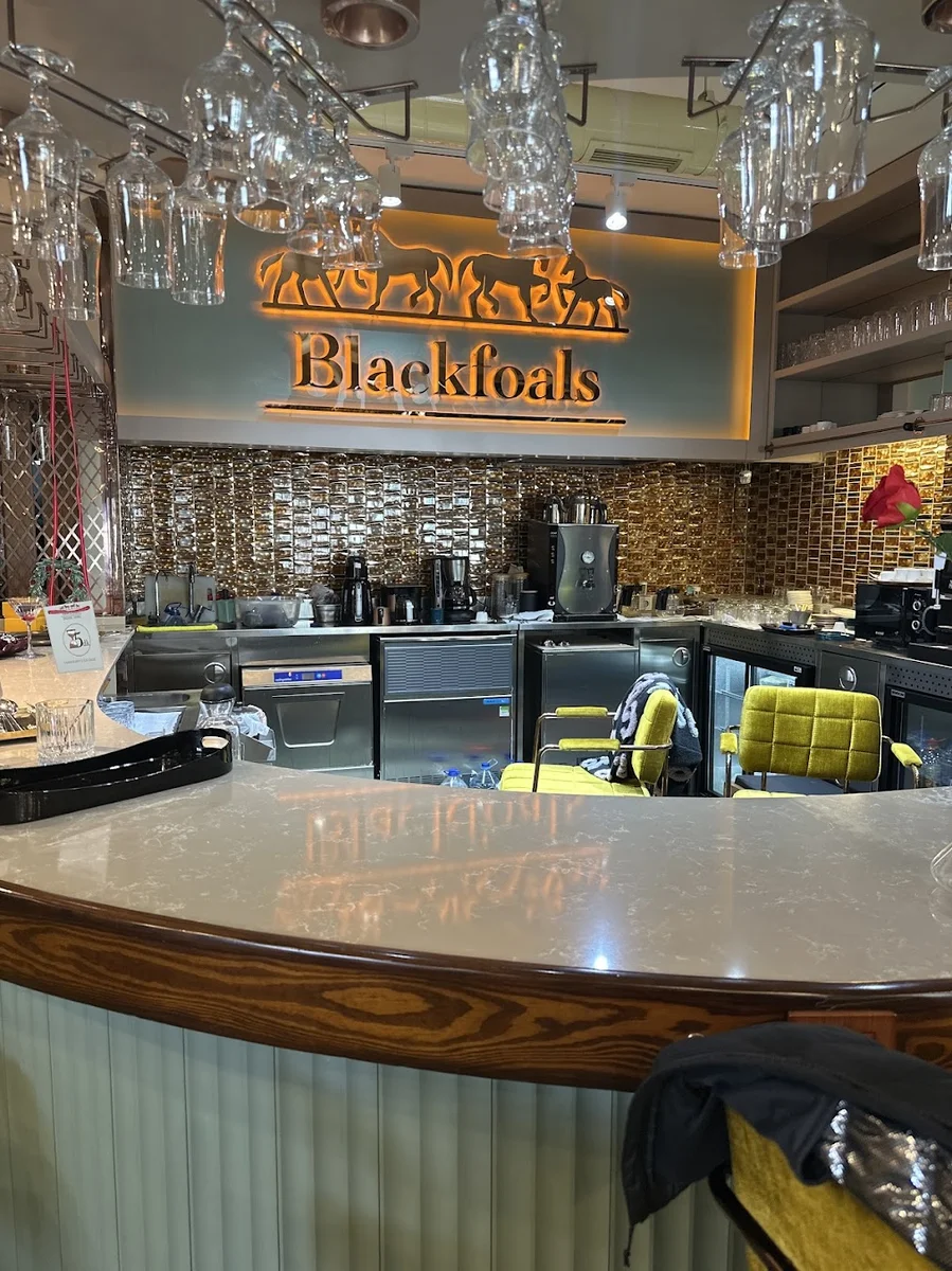 Blackfoals - Görsel 3