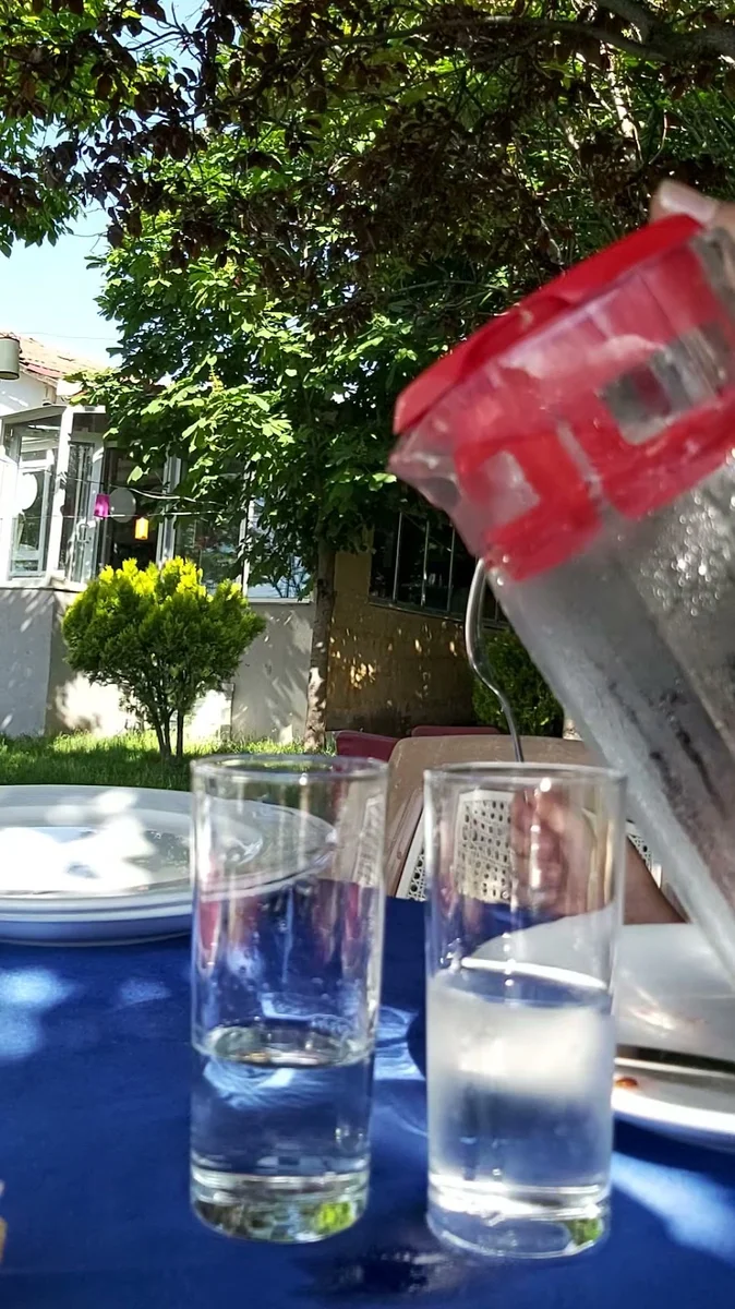 Sakallının Yeri Dağ Türkü Evi Restoran Rakı Balık Mangal - Görsel 4