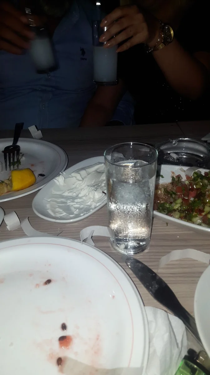 Sakallının Yeri Dağ Türkü Evi Restoran Rakı Balık Mangal - Görsel 5