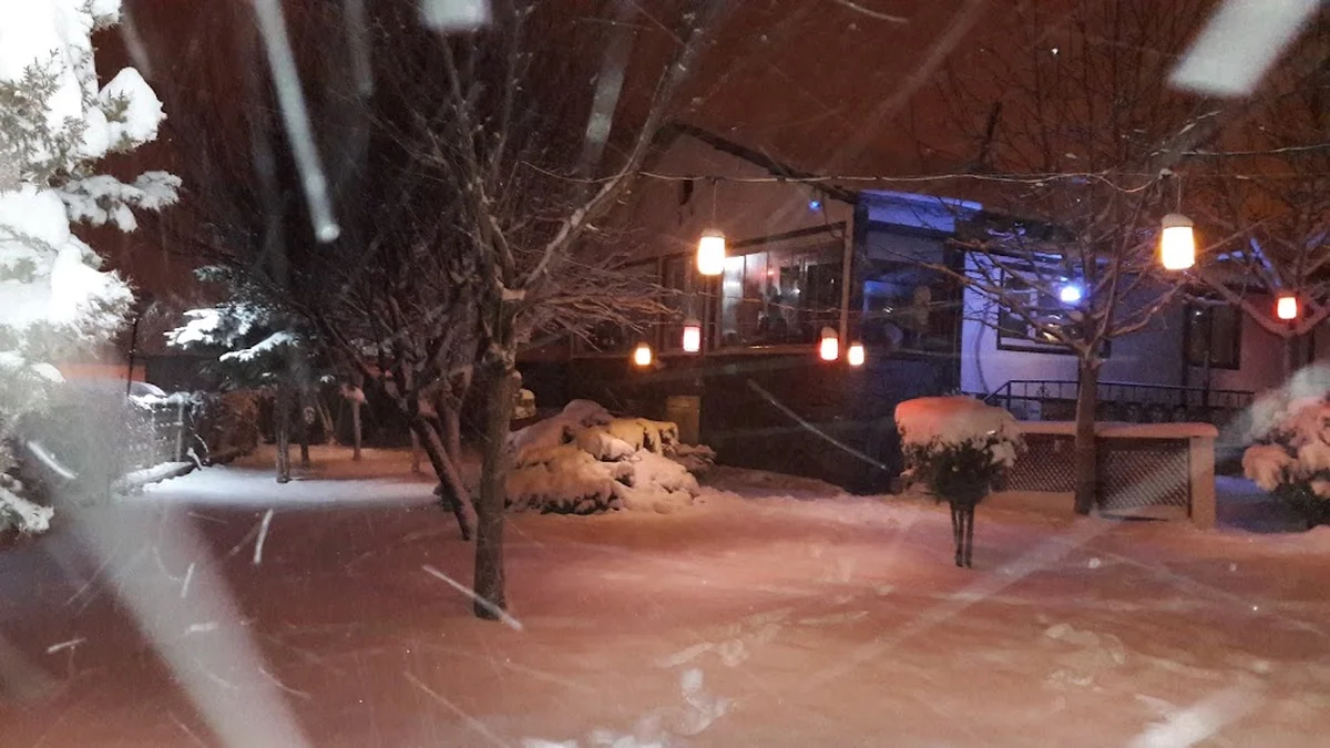 Sakallının Yeri Dağ Türkü Evi Restoran Rakı Balık Mangal - Görsel 6