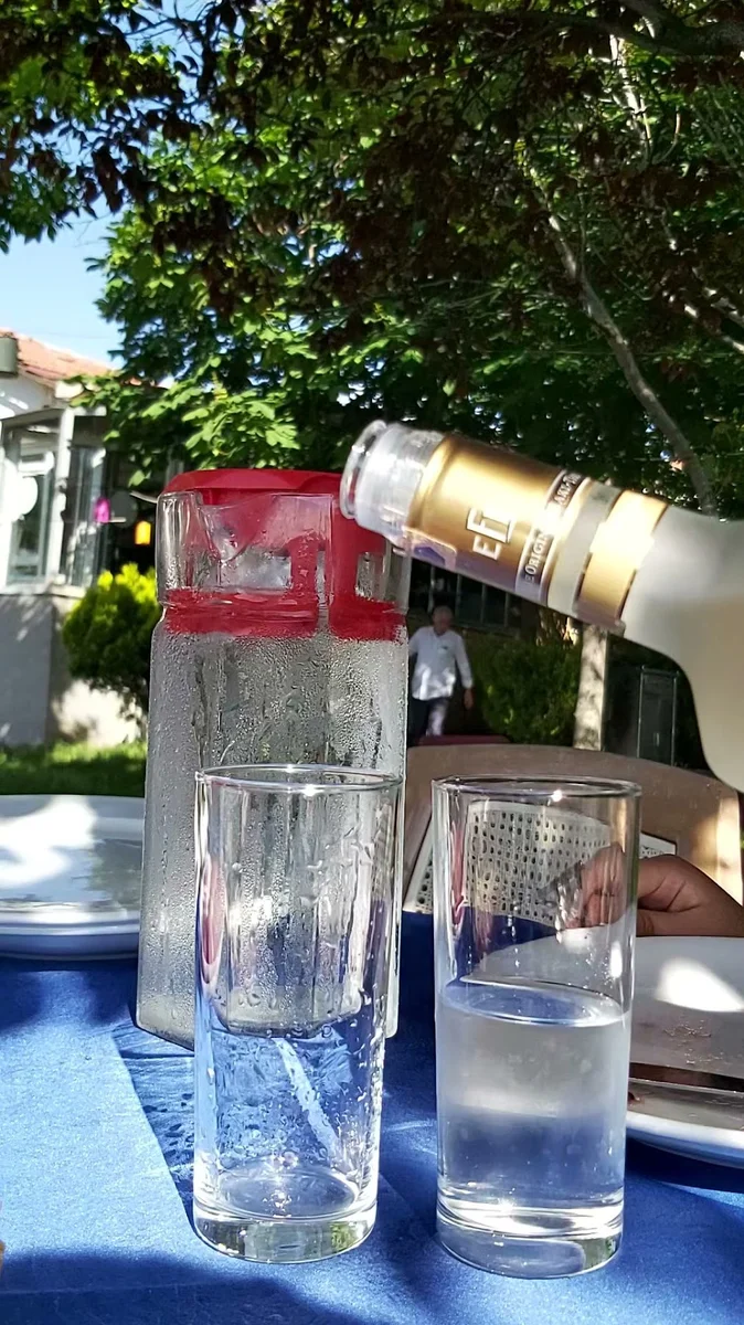 Sakallının Yeri Dağ Türkü Evi Restoran Rakı Balık Mangal - Görsel 8