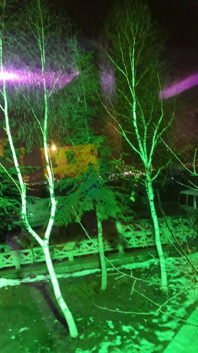 Sakallının Yeri Dağ Türkü Evi Restoran Rakı Balık Mangal - Görsel 9