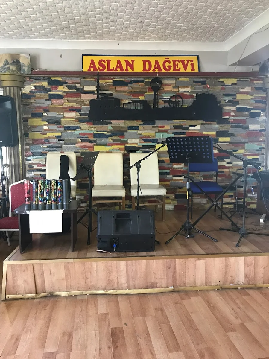 Aslan Dağevi Restoran - Görsel 2