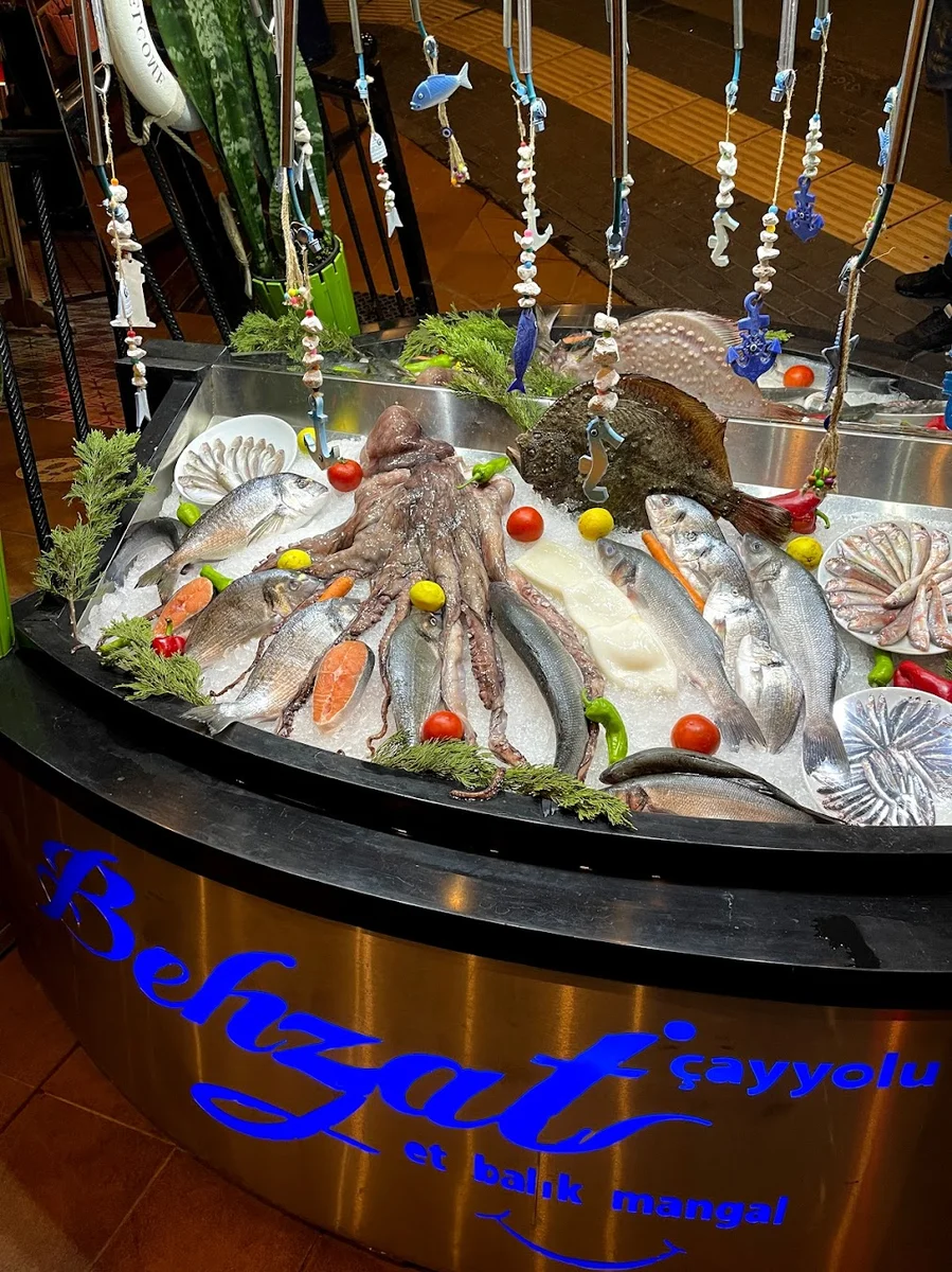 Behzat Çayyolu - Görsel 8