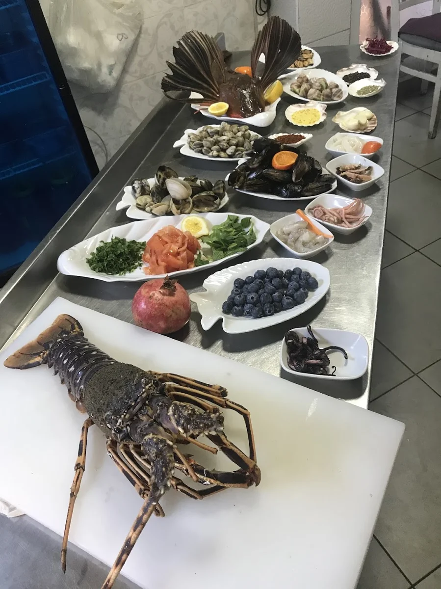 Deniz Yıldızı Ankara - Görsel 8