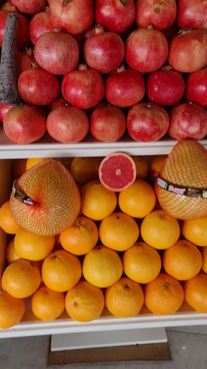 Volkan Piknik - Görsel 2