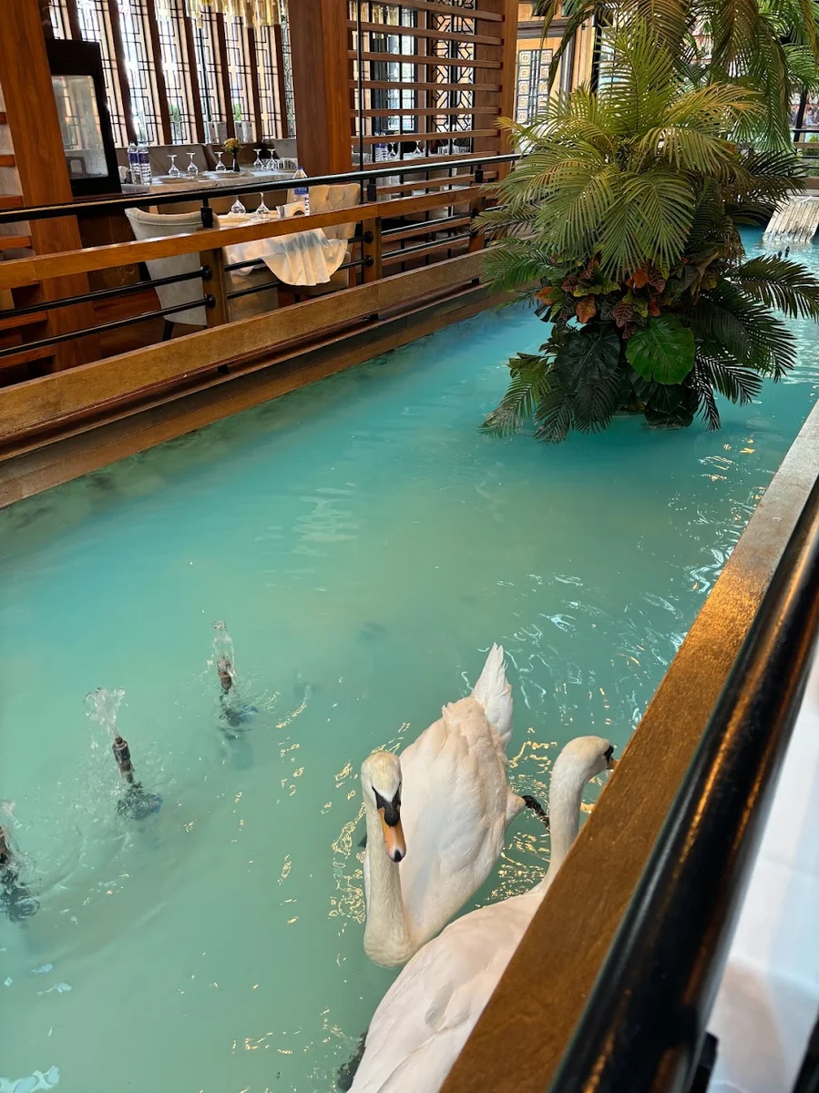 Tavacı Recep Usta Ümitköy – Ankara - Görsel 3