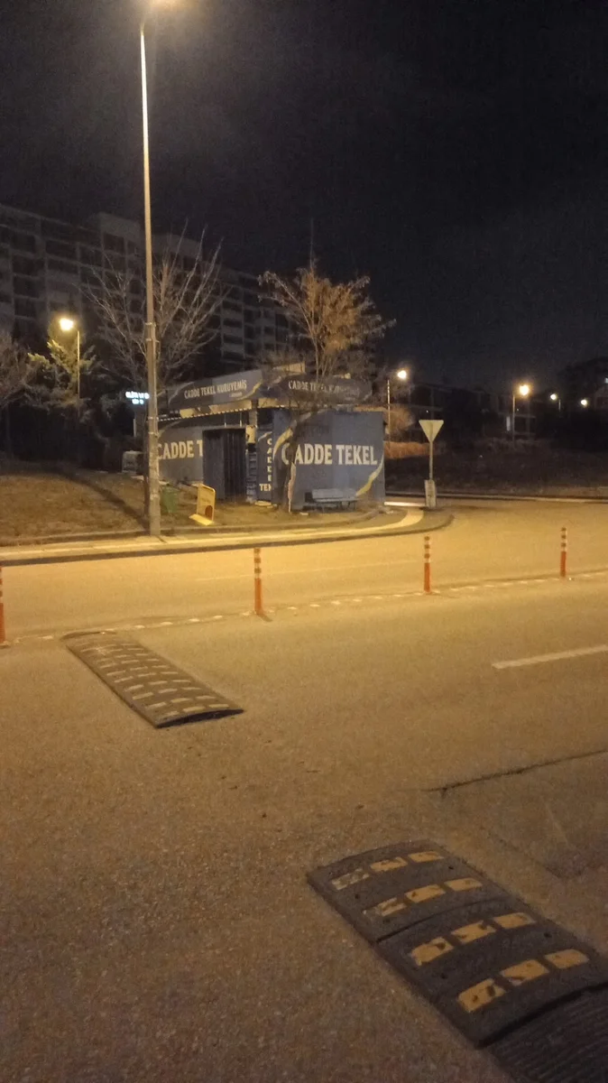 Cadde Tekel Kuruyemiş - Görsel 2