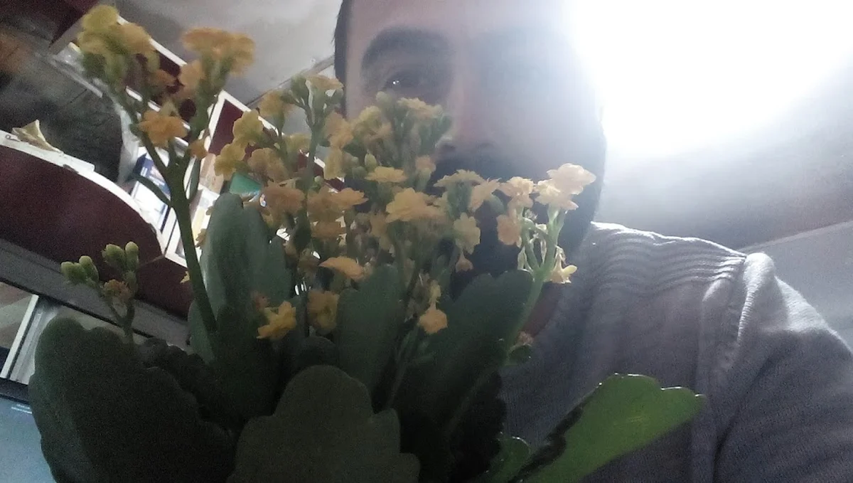 ÇAKIRHAN BÜFE - Görsel 6