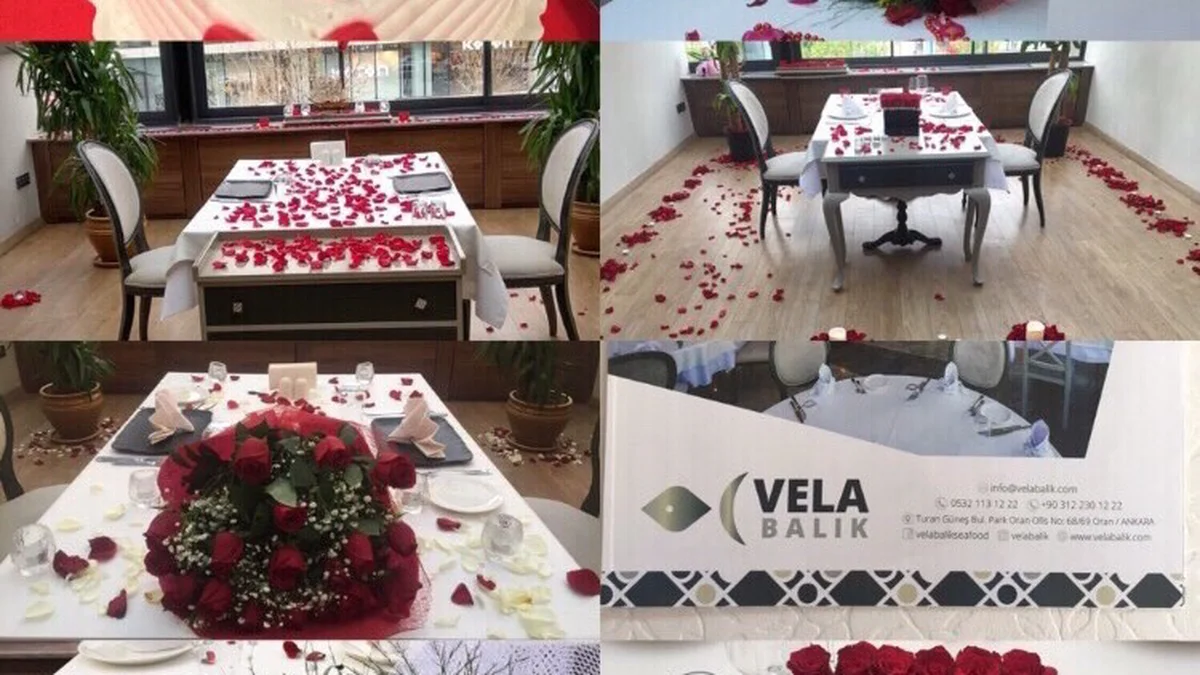 Vela Balık Restaurant - Görsel 3