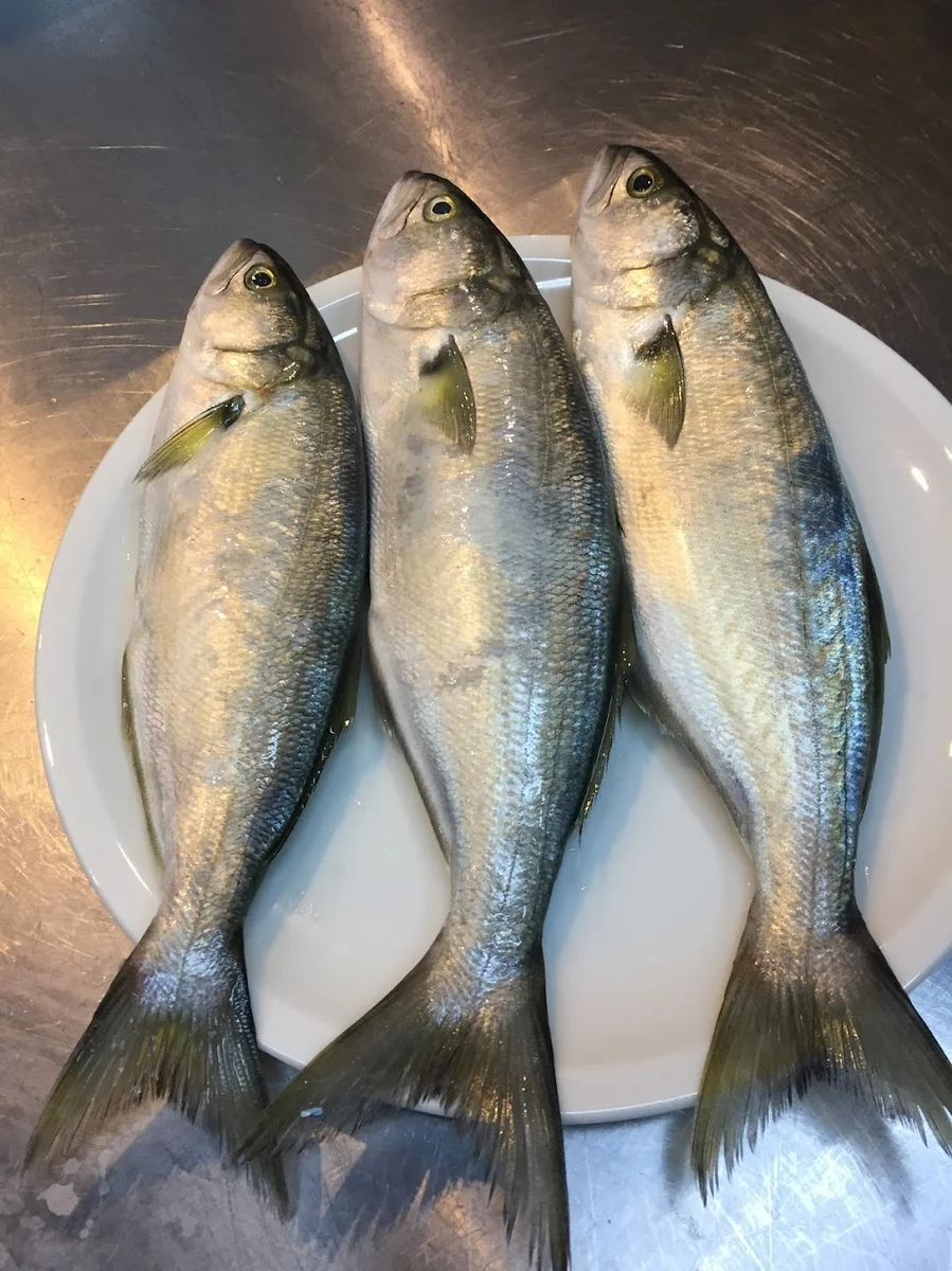 Vela Balık Restaurant - Görsel 4