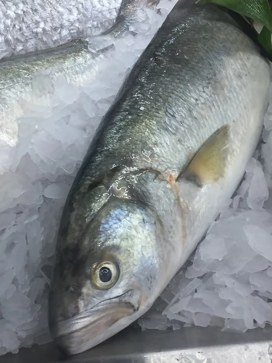 Vela Balık Restaurant - Görsel 6