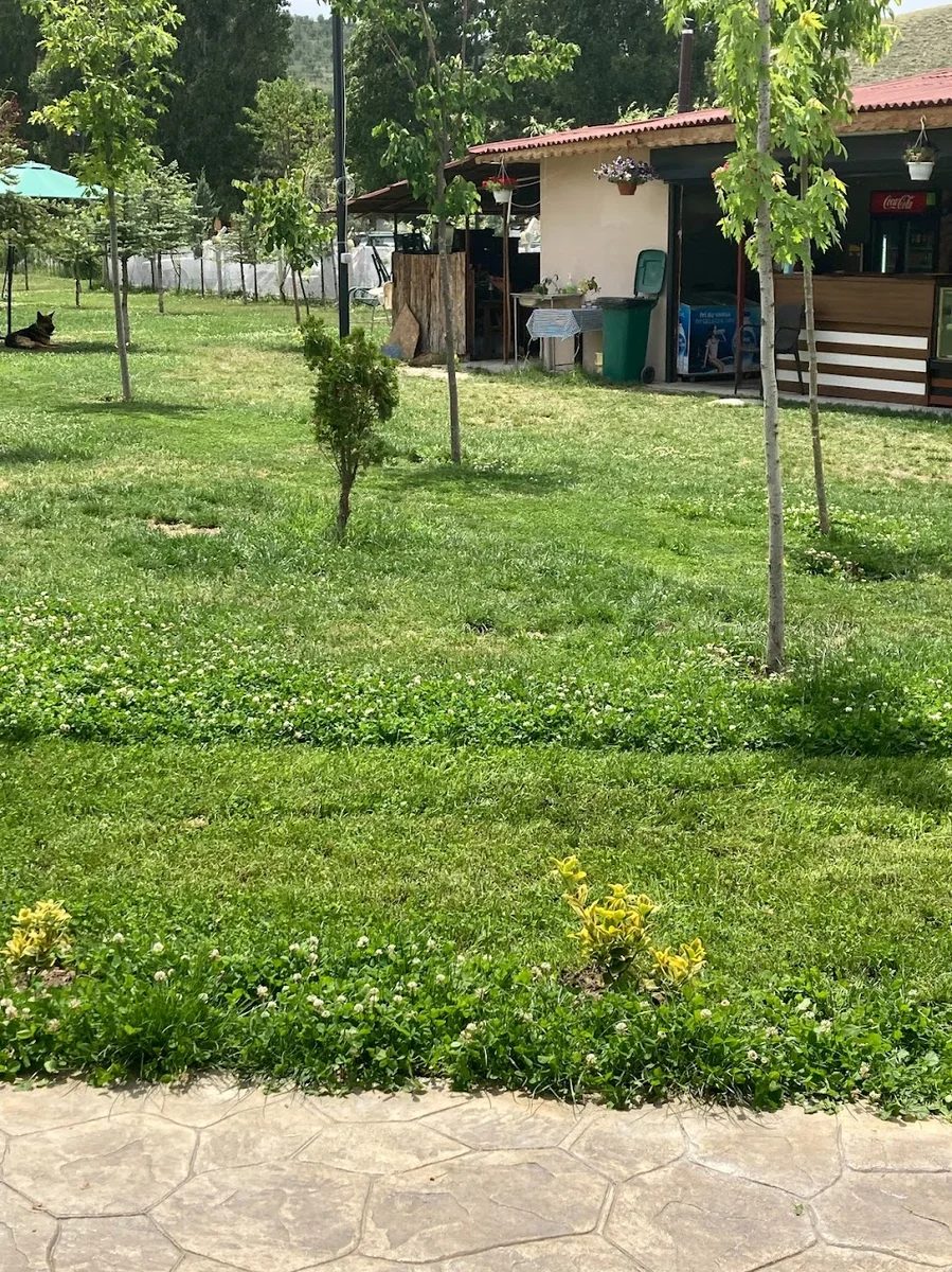 Lotus 555 Eymir - Görsel 4