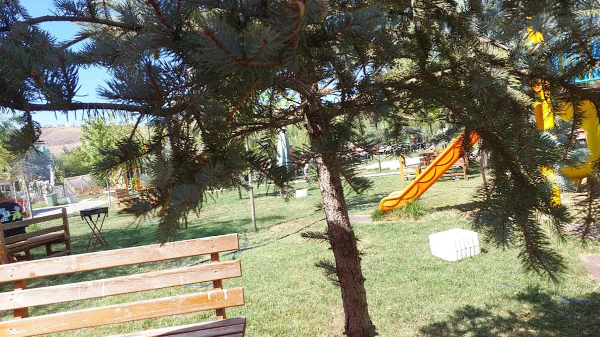 Lotus 555 Eymir - Görsel 5