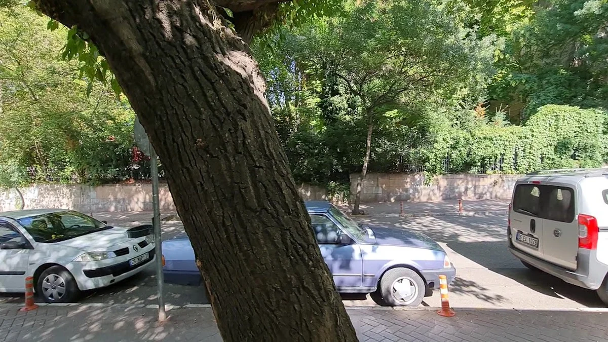 Sesamos Cafe Bistro - Görsel 1