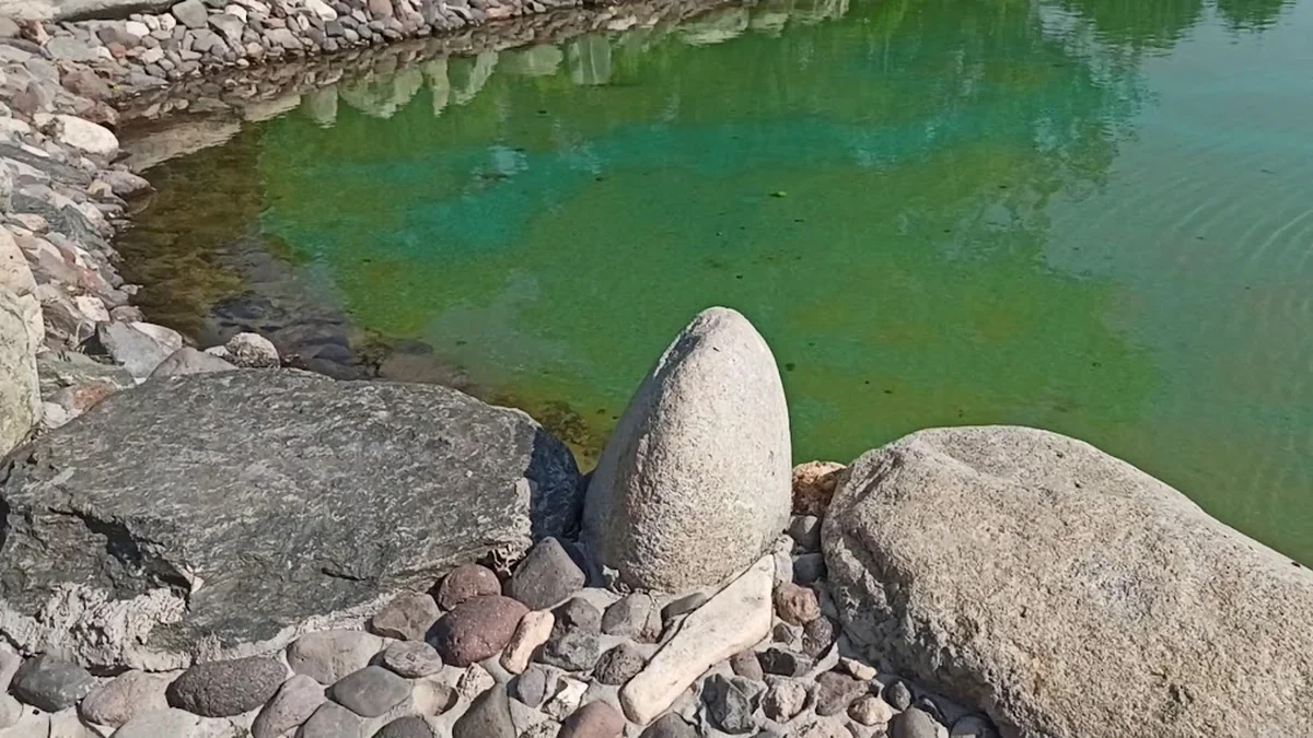 50. Yıl Parkı - Görsel 5