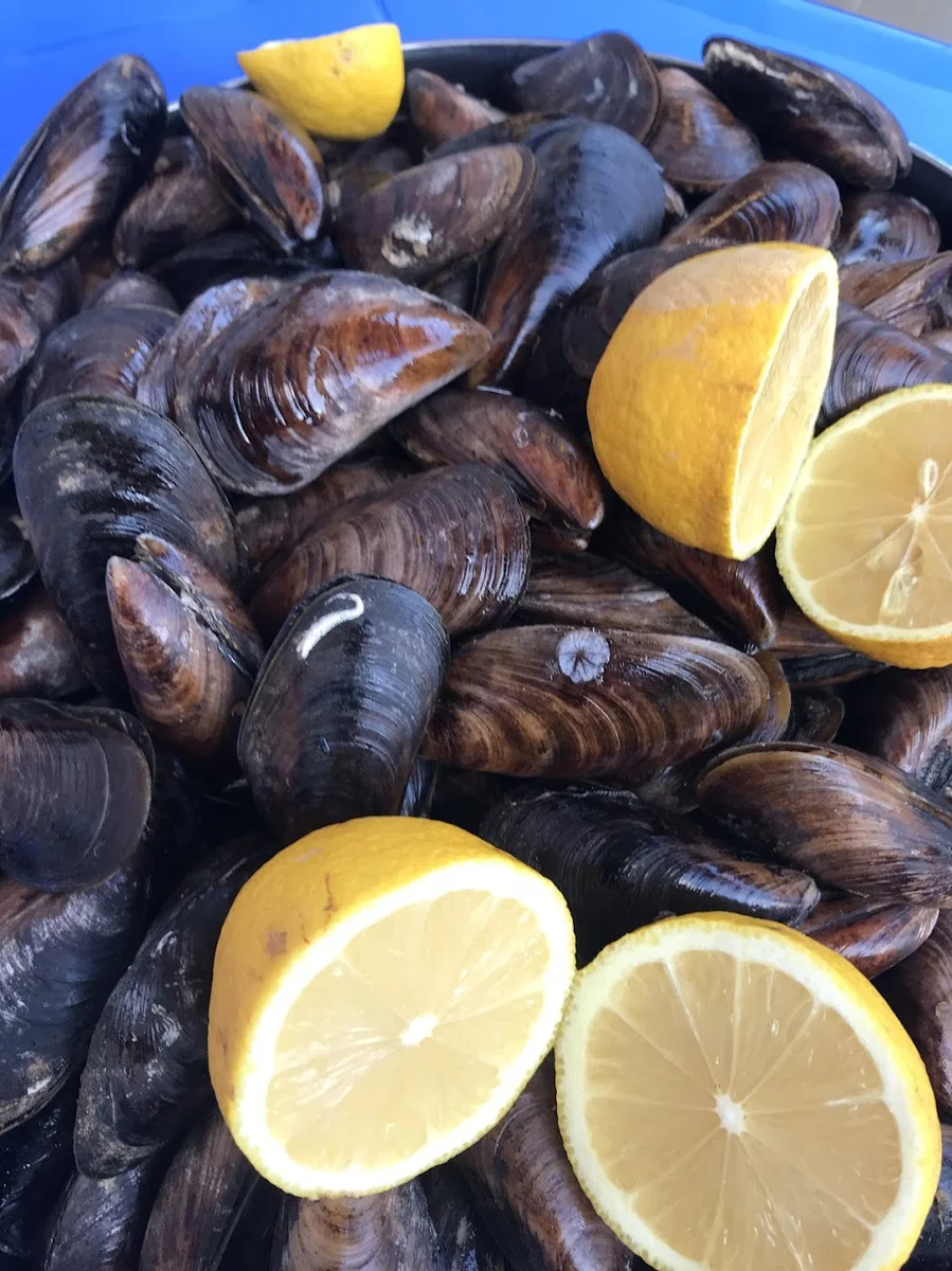 Al Bi Kokoreç - Görsel 4