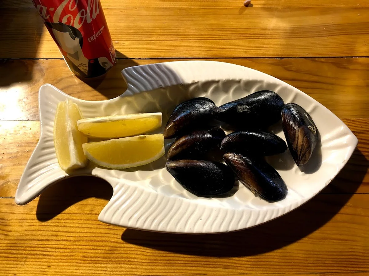 İskele Balık - Görsel 2