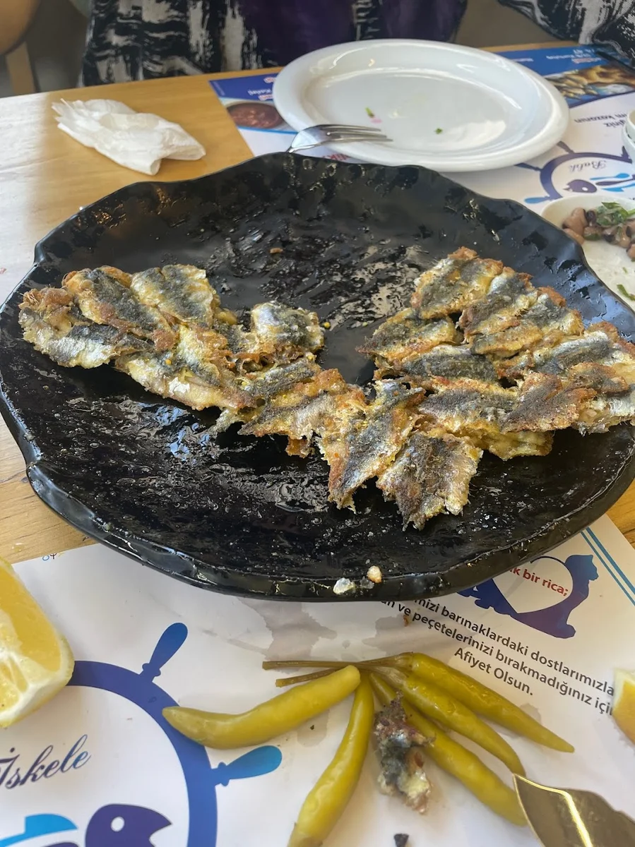 İskele Balık - Görsel 8