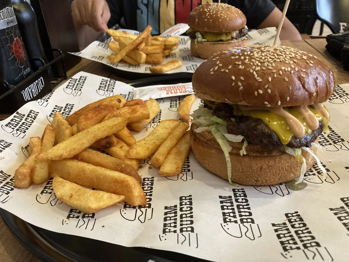 Farm Burger - Görsel 2