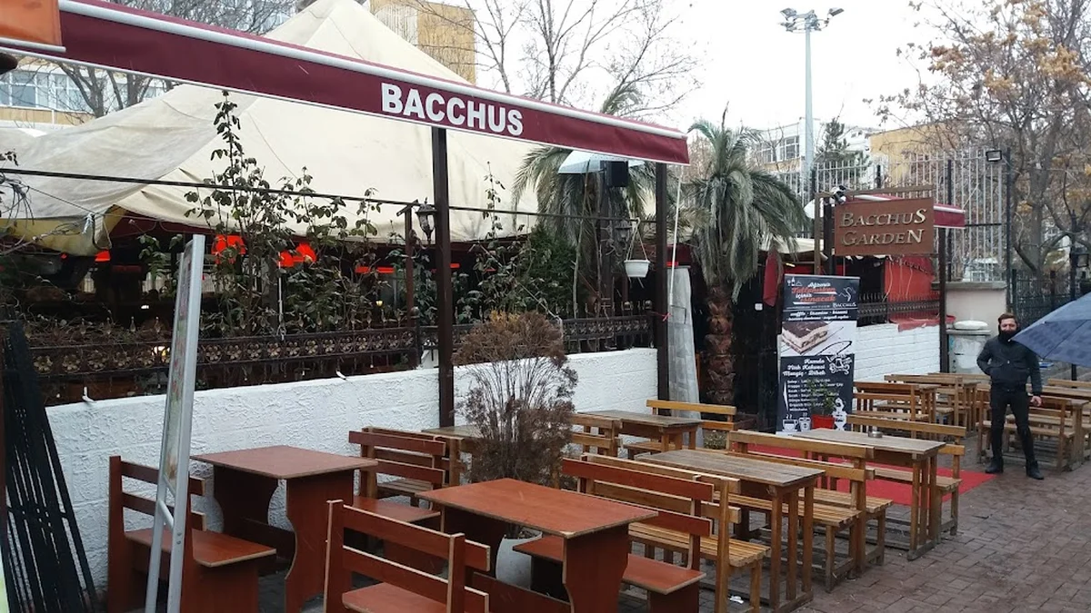 Bacchus Cafe Hamamönü - Görsel 9