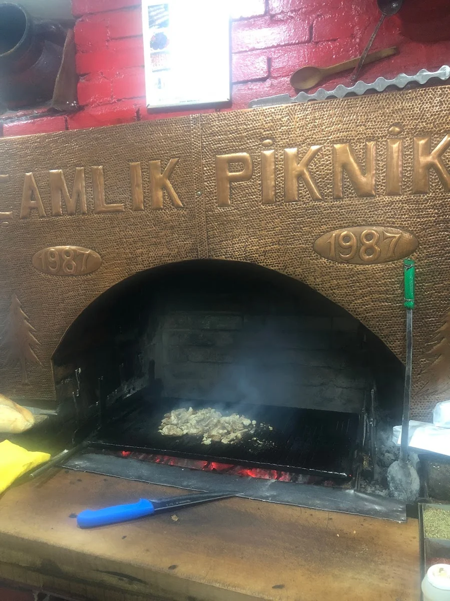 Çamlık Piknik 1987 Eski - Görsel 1