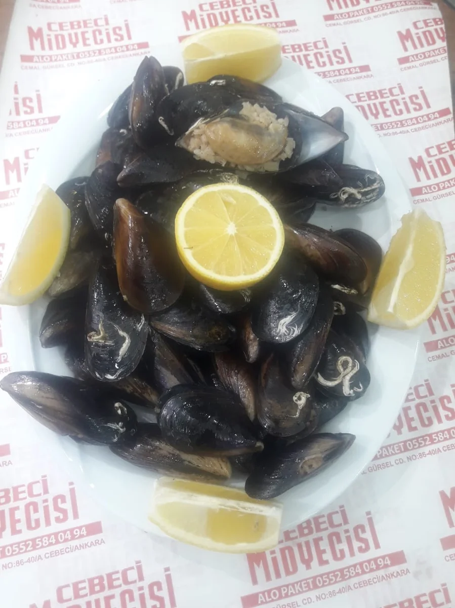 Cebeci Midyecisi - Görsel 1