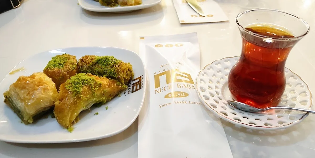 Necip Baba - Görsel 5