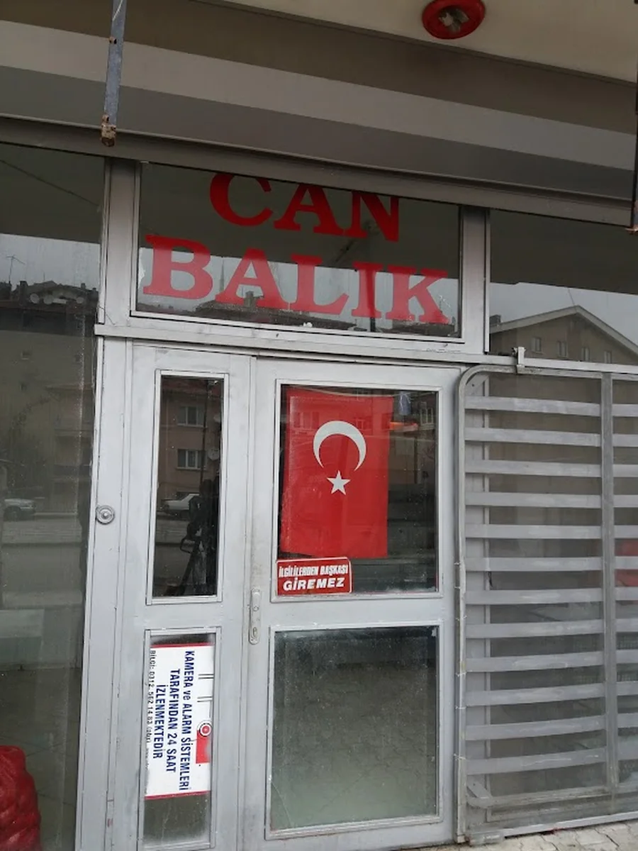 Can Balık - Görsel 1