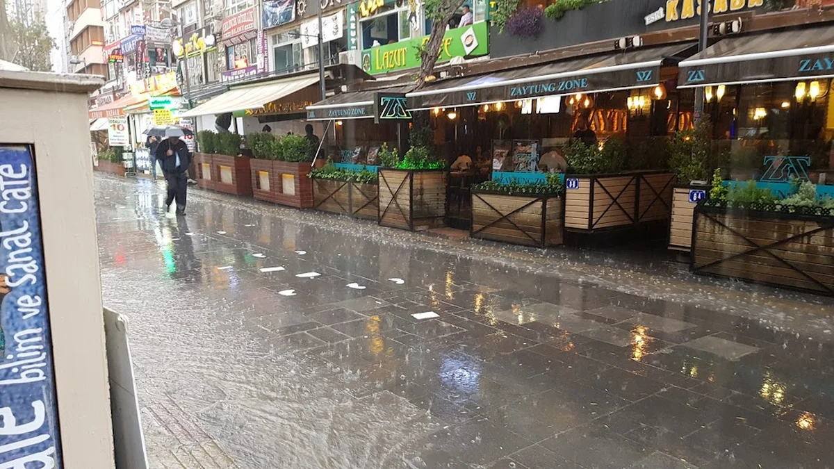 Bilim & Sanat Cafe Bistro - Görsel 1