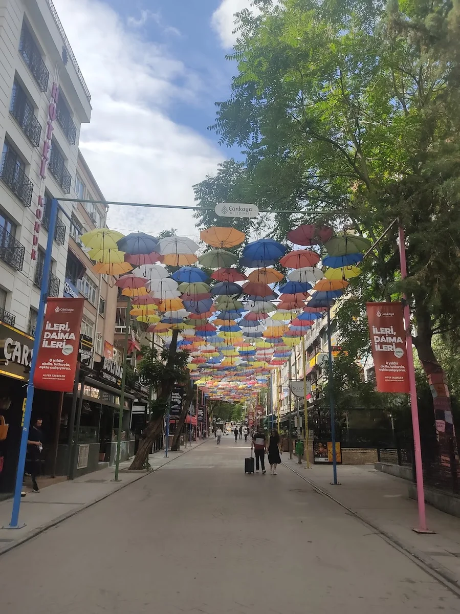 Bilim & Sanat Cafe Bistro - Görsel 3