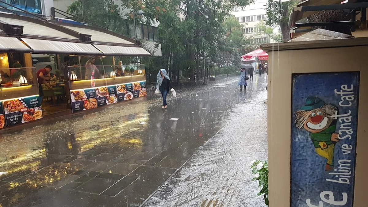 Bilim & Sanat Cafe Bistro - Görsel 6