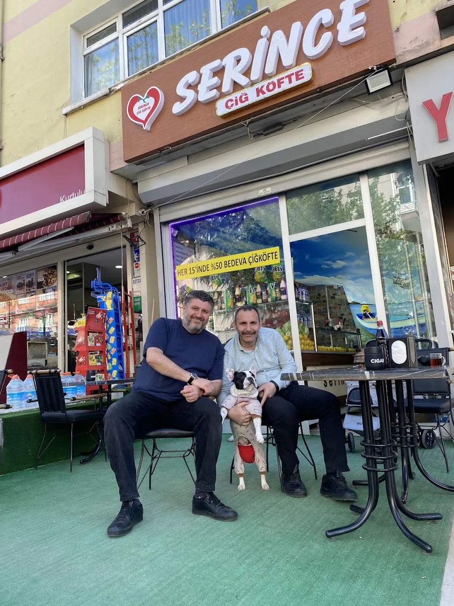 Serince Kurtuluş - Görsel 4