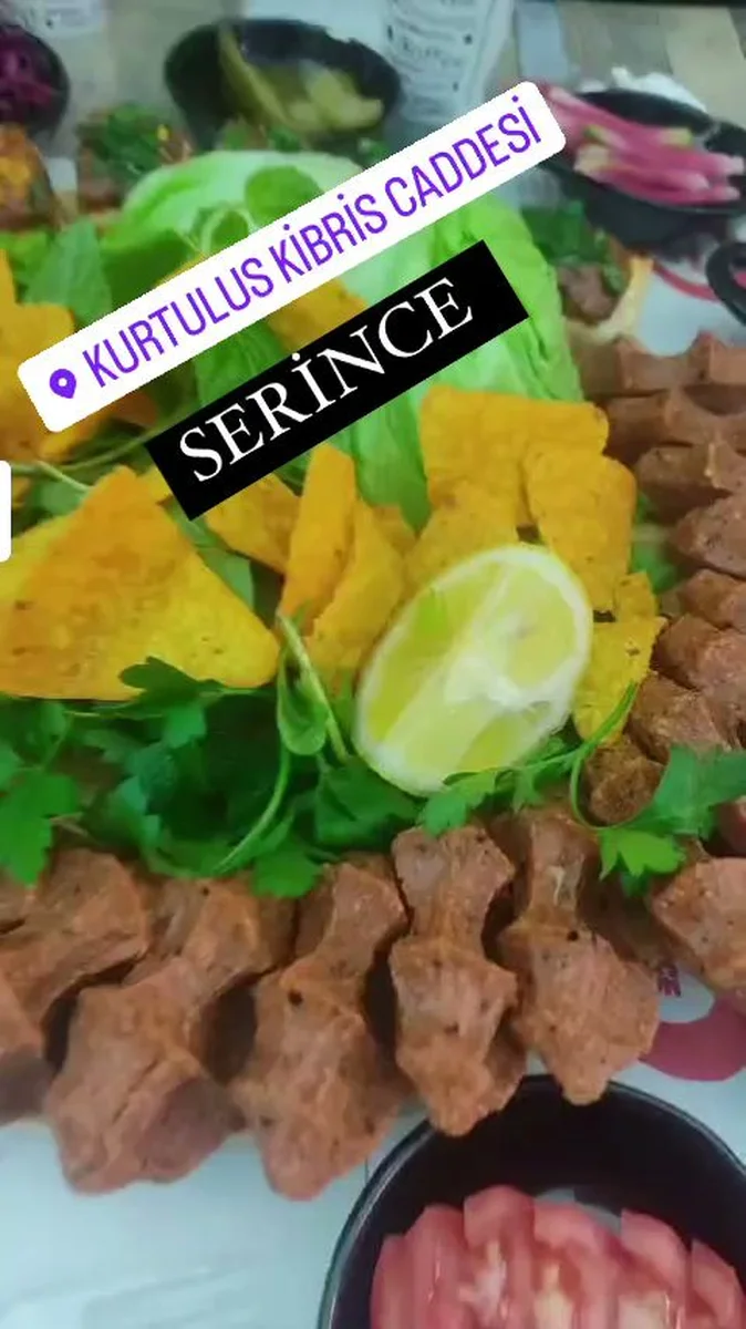 Serince Kurtuluş - Görsel 5