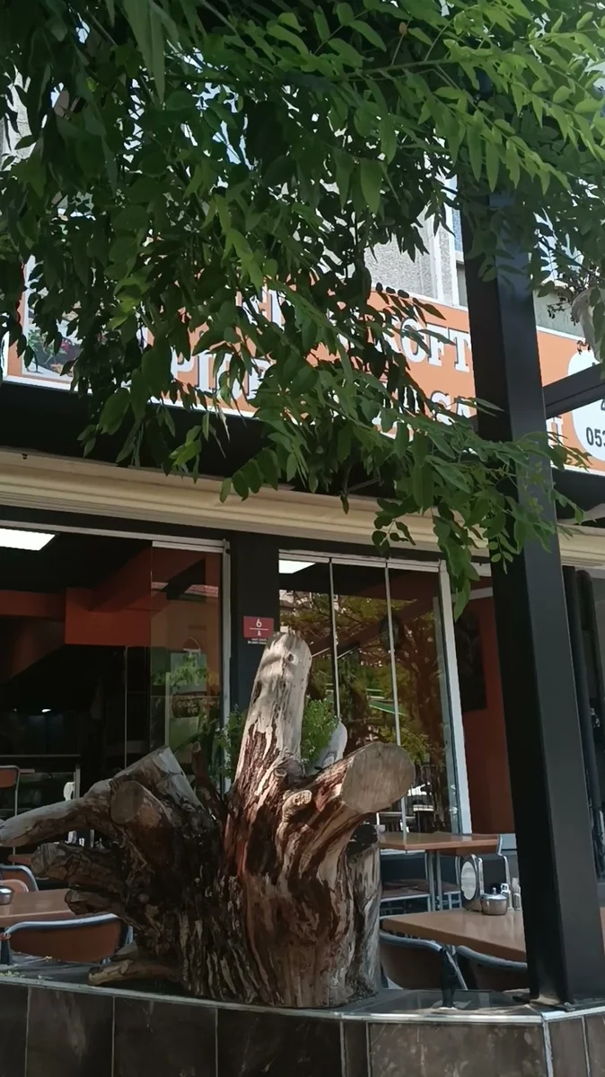 Dedem Köfte Pide Ve Kebap solonu - Görsel 7