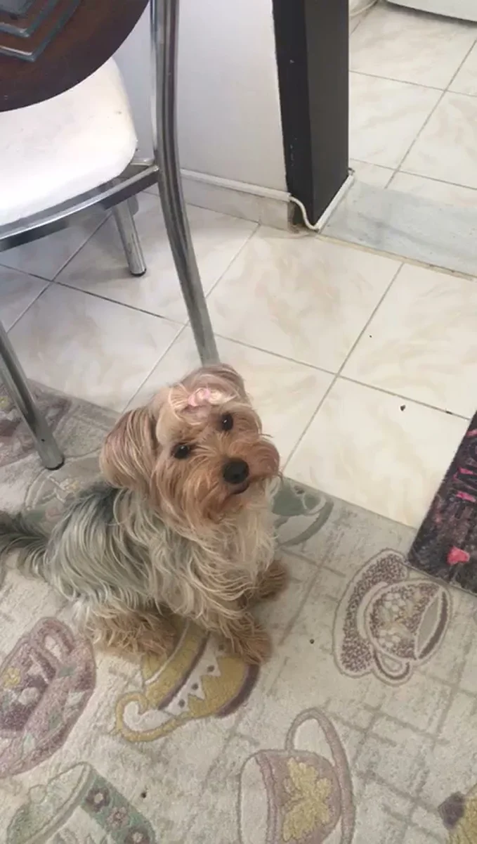 DÜRÜM CENTER - Görsel 2