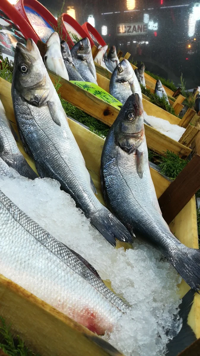 İskele Balık - Görsel 2