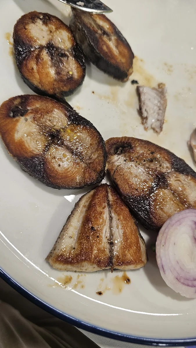 İskele Balık - Görsel 5