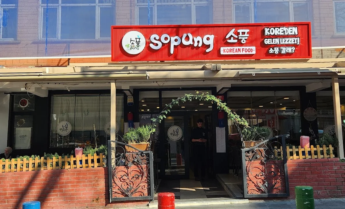 Sopung kore ankara - Görsel 1
