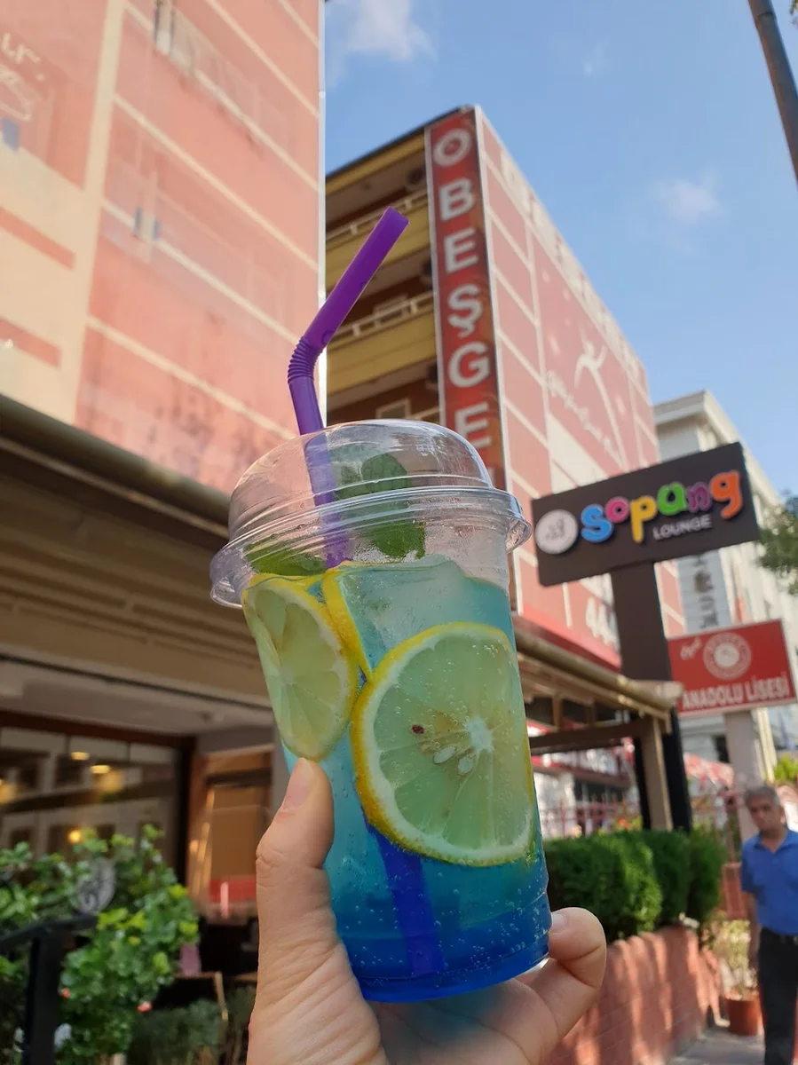 Sopung kore ankara - Görsel 2