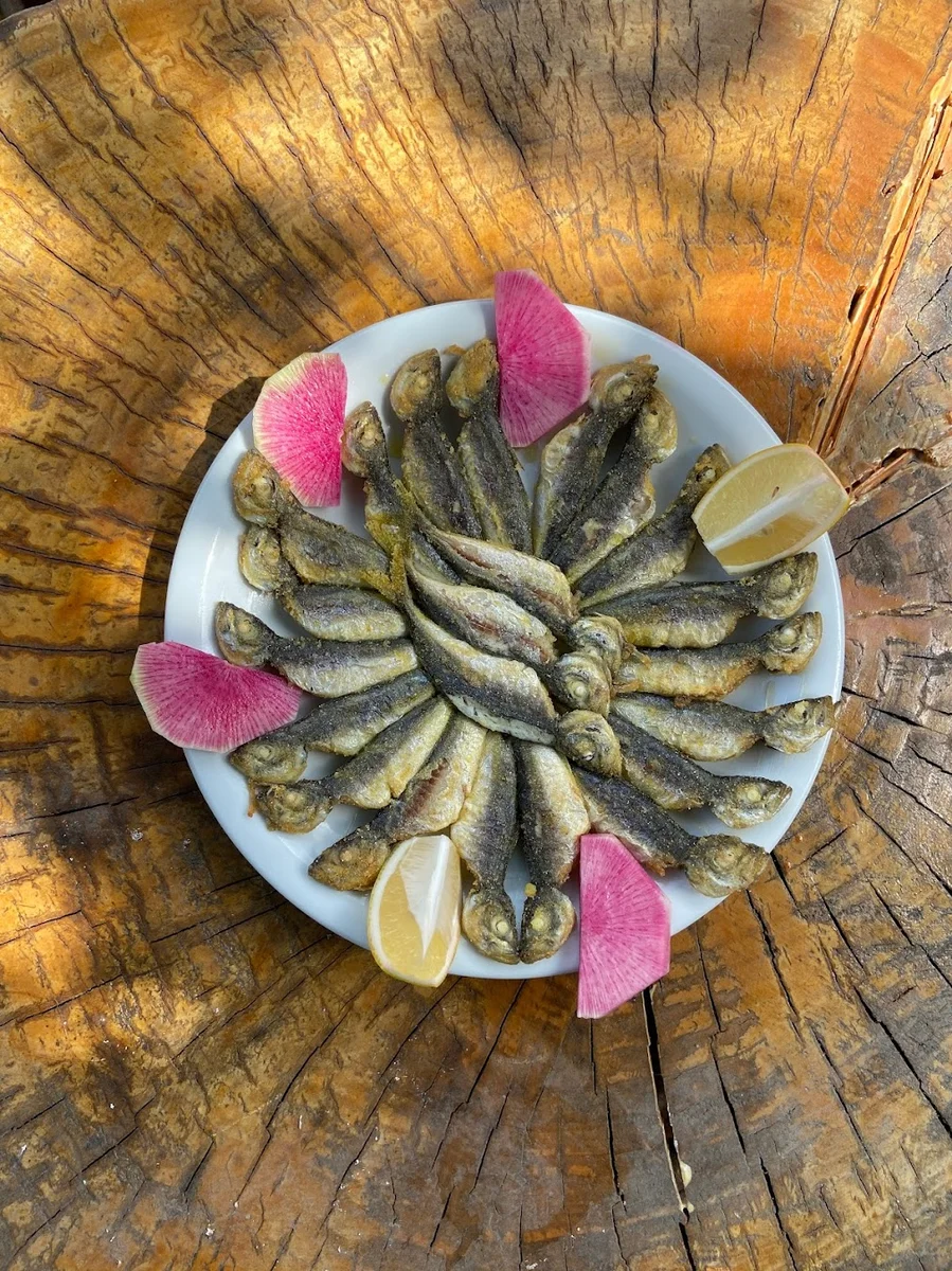 Aydın Usta Terkos Göl Balığı, Balık & Et Restaurant - Görsel 7